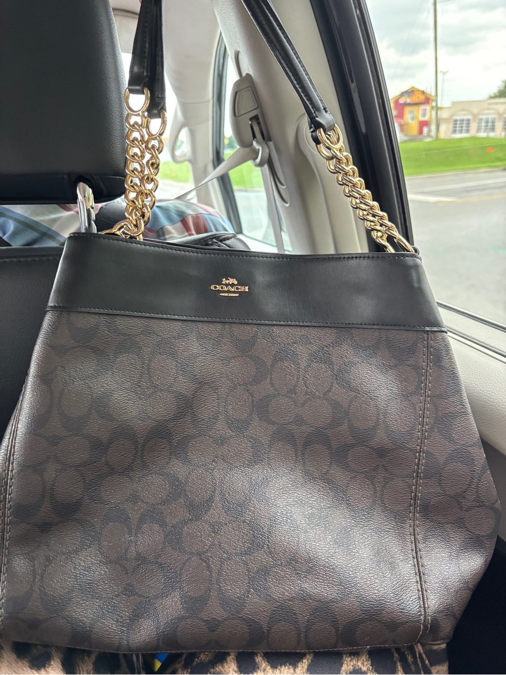 Coach Brown Lexy Bag